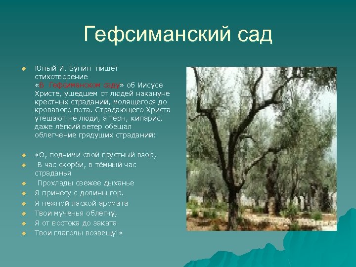 Гефсиманский сад u Юный И. Бунин пишет стихотворение «В Гефсиманском саду» об Иисусе Христе,