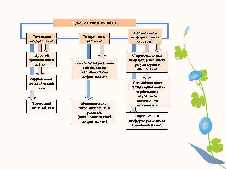 НЕДОСТАТОЧНОЕ РАЗВИТИЕ Тотальное недоразвитие Простой уравновешенн ый тип Аффективнонеустойчивый тип Тормозной инертный тип Задержанное