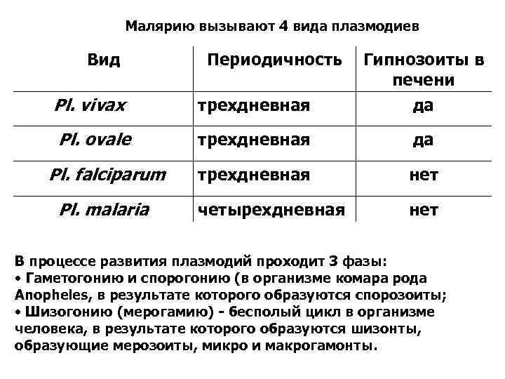 Малярию вызывают 4 вида плазмодиев Вид Pl. vivax Периодичность Гипнозоиты в печени трехдневная да