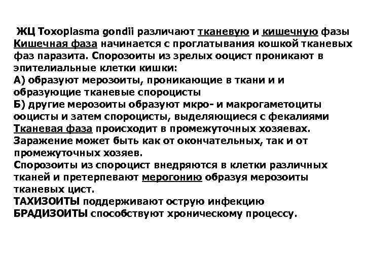  ЖЦ Toxoplasma gondii различают тканевую и кишечную фазы Кишечная фаза начинается с проглатывания