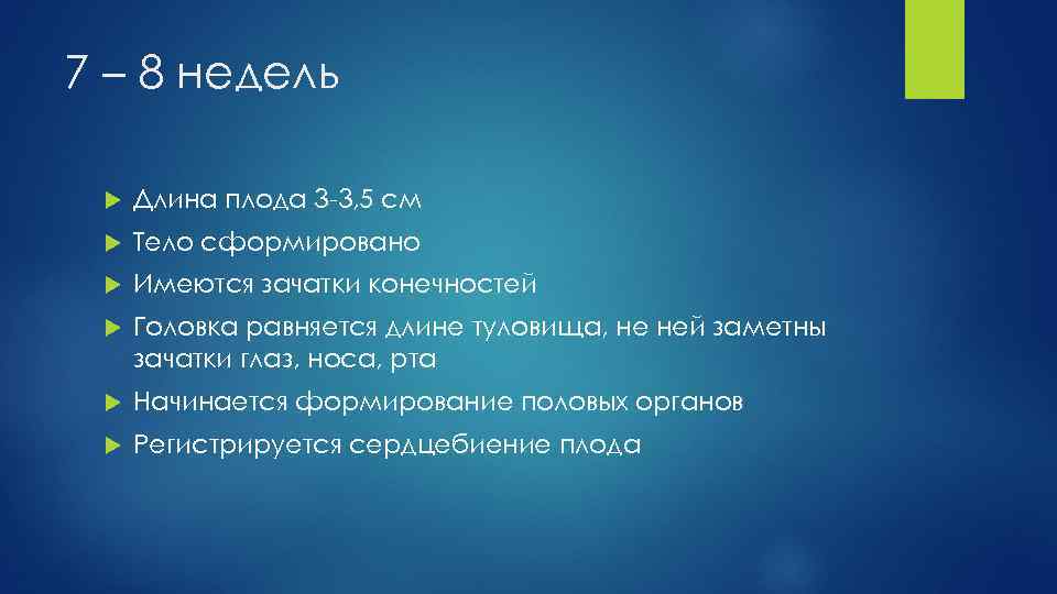 7 – 8 недель Длина плода 3 -3, 5 см Тело сформировано Имеются зачатки