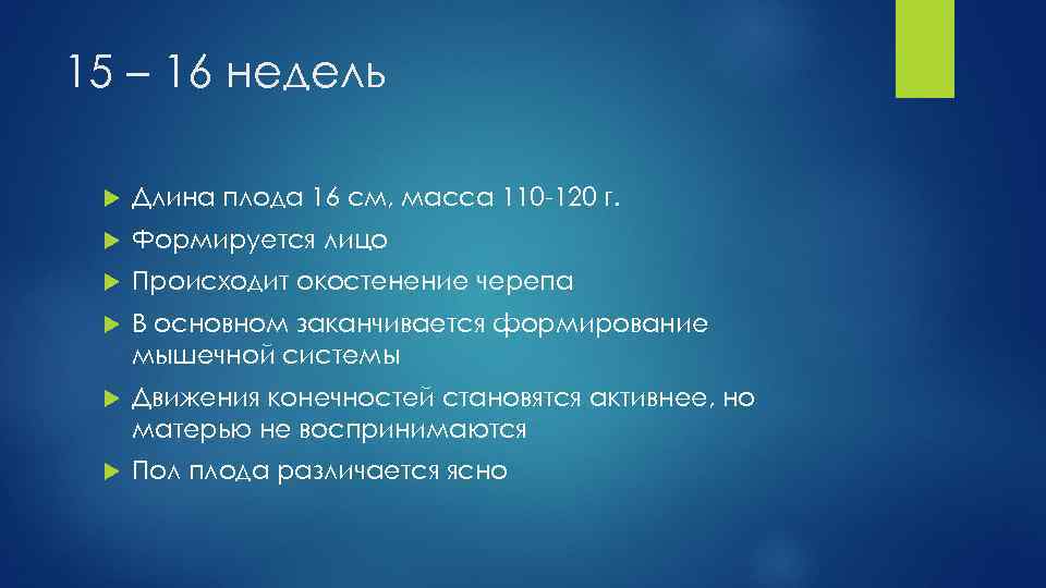 15 – 16 недель Длина плода 16 см, масса 110 -120 г. Формируется лицо