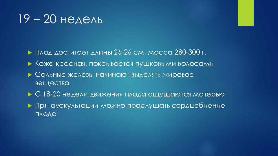 19 – 20 недель Плод достигает длины 25 -26 см, масса 280 -300 г.