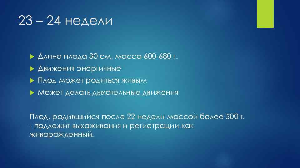 23 – 24 недели Длина плода 30 см, масса 600 -680 г. Движения энергичные