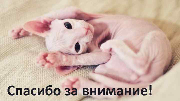 Спасибо за внимание! 