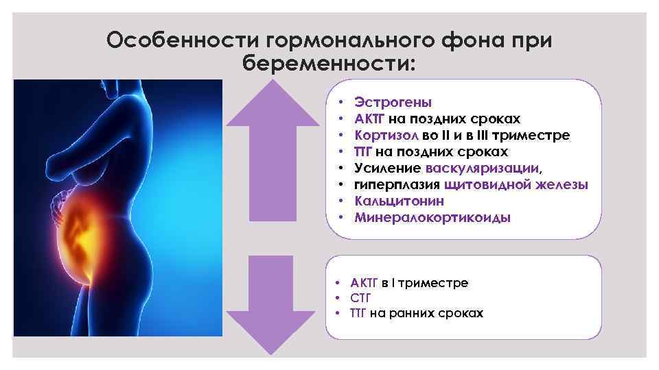 Особенности гормонального фона при беременности: • • Эстрогены АКТГ на поздних сроках Кортизол во
