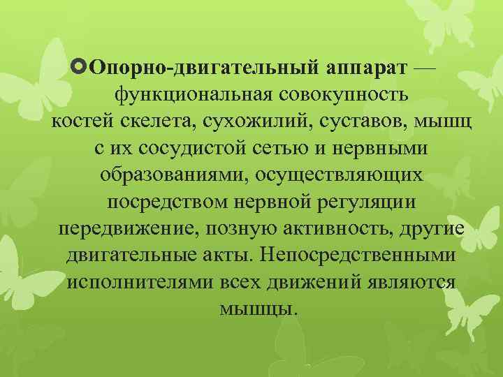  Опорно-двигательный аппарат — функциональная совокупность костей скелета, сухожилий, суставов, мышц с их сосудистой