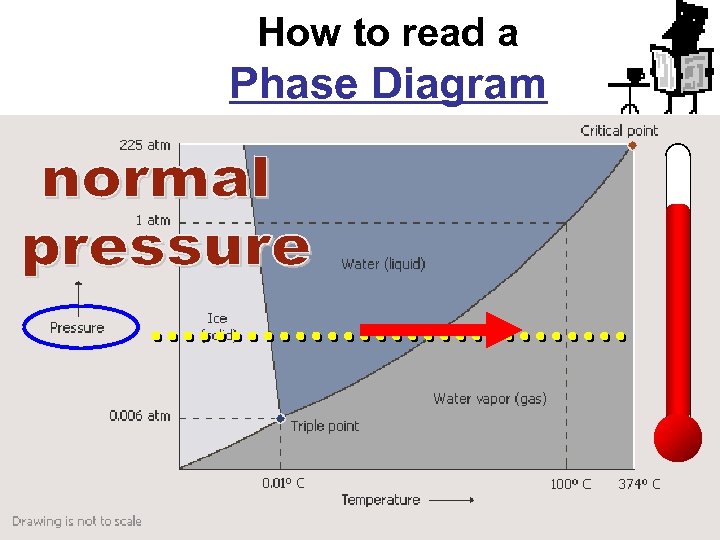 How to read a Phase Diagram 