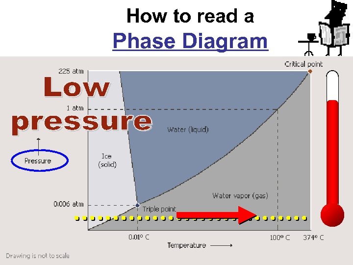 How to read a Phase Diagram 