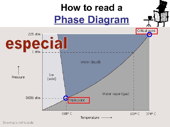 How to read a Phase Diagram 