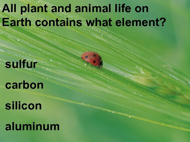 All plant and animal life on Earth contains what element? sulfur carbon silicon aluminum