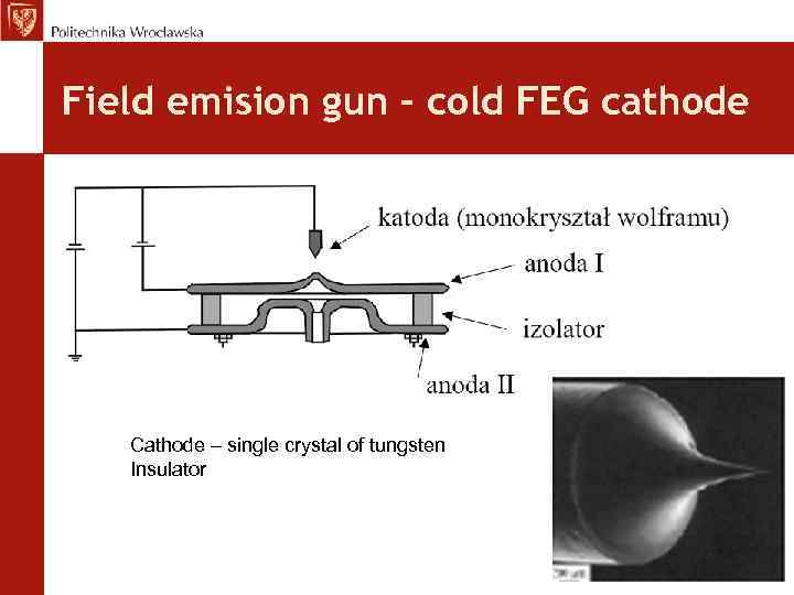 Field emision gun – cold FEG cathode Cathode – single crystal of tungsten Insulator