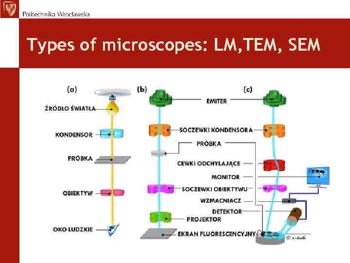 Types of microscopes: LM, TEM, SEM 
