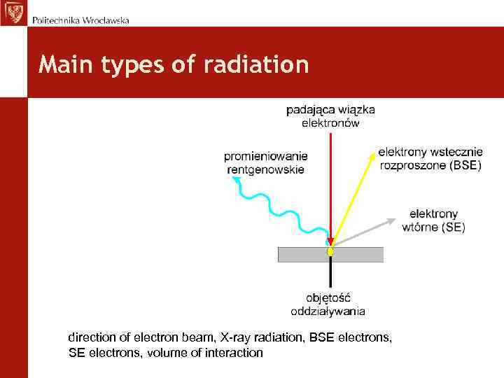 Main types of radiation direction of electron beam, X-ray radiation, BSE electrons, volume of