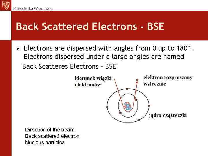 Back Scattered Electrons - BSE • Electrons are dispersed with angles from 0 up