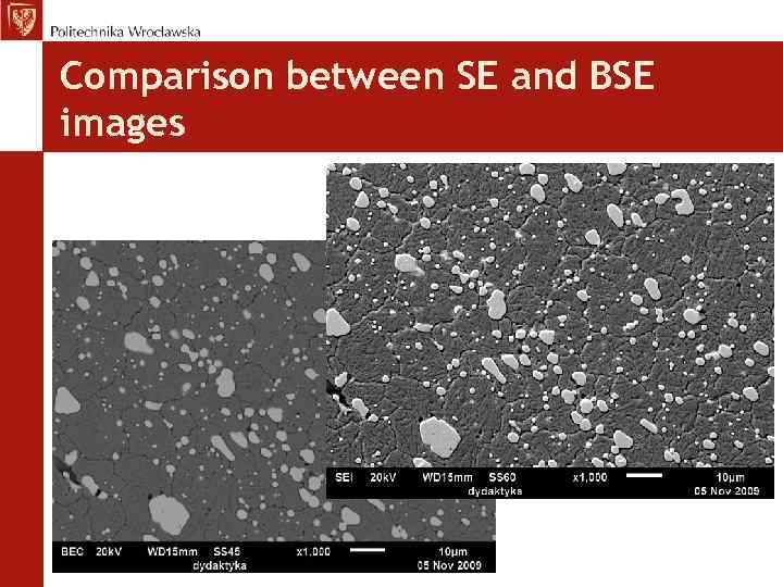 Comparison between SE and BSE images 