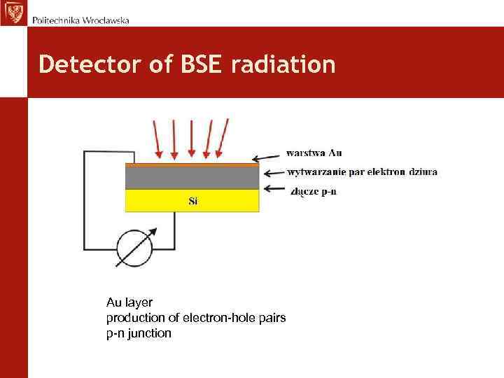Detector of BSE radiation Au layer production of electron-hole pairs p-n junction 