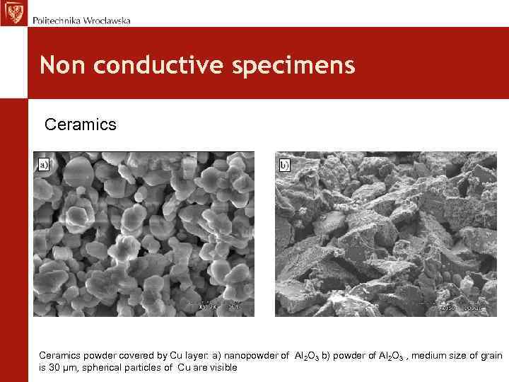 Non conductive specimens Ceramics powder covered by Cu layer: a) nanopowder of Al 2