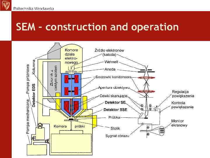 SEM – construction and operation 
