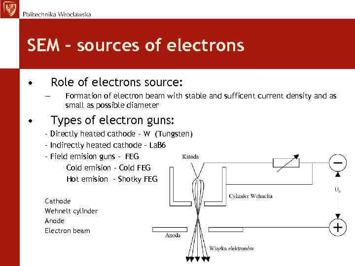 SEM – sources of electrons • Role of electrons source: — • Formation of