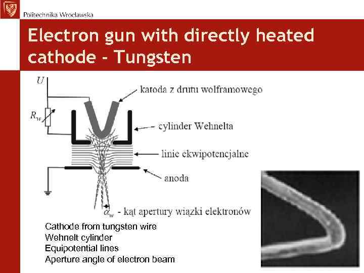 Electron gun with directly heated cathode - Tungsten Cathode from tungsten wire Wehnelt cylinder
