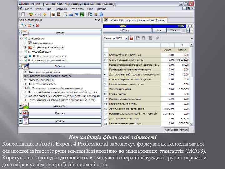 Консолідація фінансової звітності Консолідація в Audit Expert 4 Professional забезпечує формування консолідованої фінансової звітності