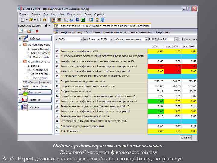 Оцінка кредитоспроможності позичальника. Скорингові методики фінансового аналізу Audit Expert дозволяє оцінити фінансовий стан з