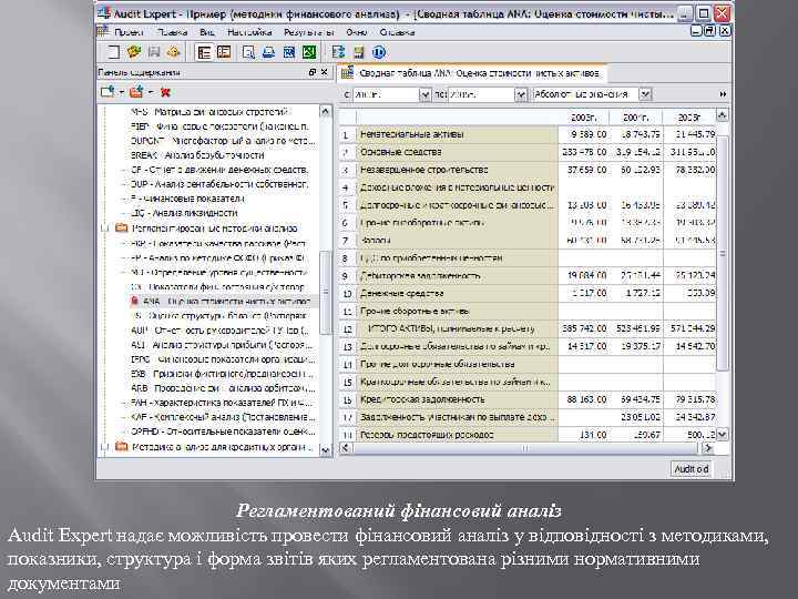 Регламентований фінансовий аналіз Audit Expert надає можливість провести фінансовий аналіз у відповідності з методиками,