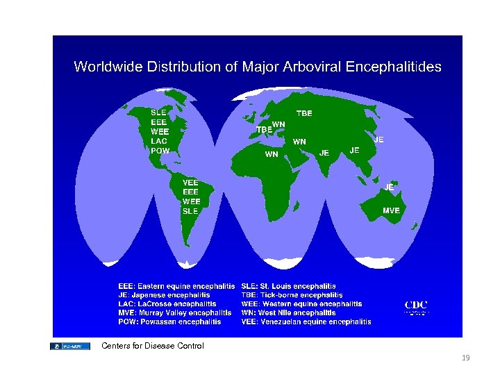 Centers for Disease Control 19 