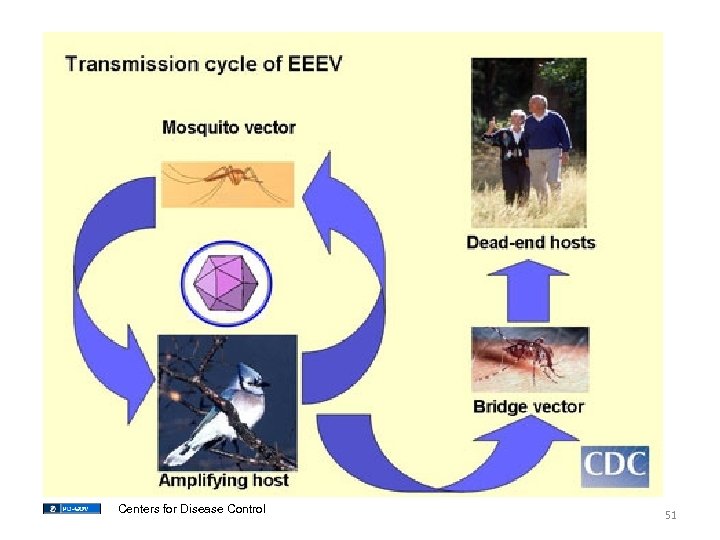 Centers for Disease Control 51 