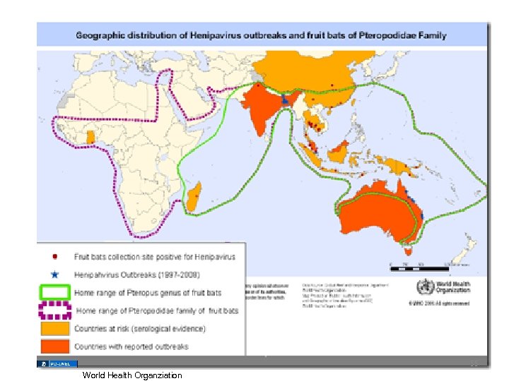 55 World Health Organziation 