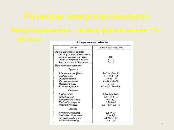 Размеры микроорганизмов Микроорганизмы – живые формы менее 70 – 80 мкм. 21 
