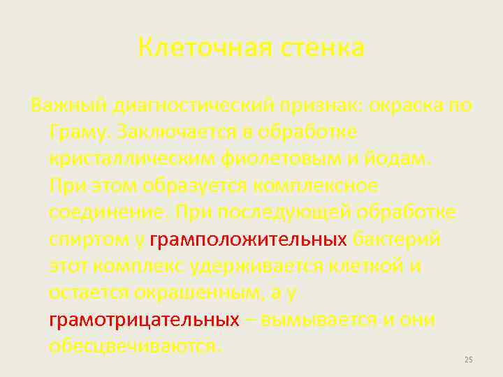 Клеточная стенка Важный диагностический признак: окраска по Граму. Заключается в обработке кристаллическим фиолетовым и
