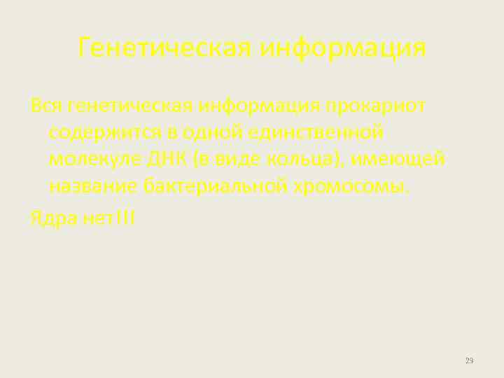 Генетическая информация Вся генетическая информация прокариот содержится в одной единственной молекуле ДНК (в виде