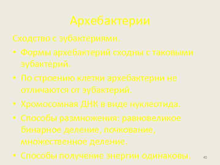 Архебактерии Сходство с эубактериями. • Формы архебактерий сходны с таковыми эубактерий. • По строению