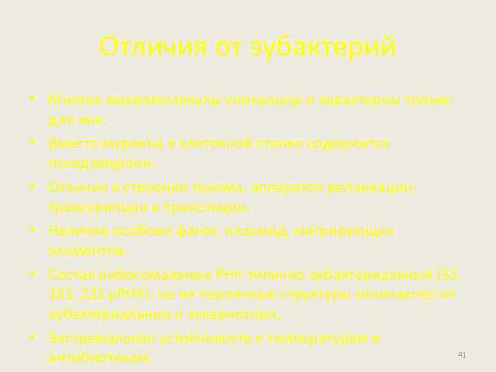 Отличия от эубактерий • Многие макромолекулы уникальны и характерны только для них. • Вместо