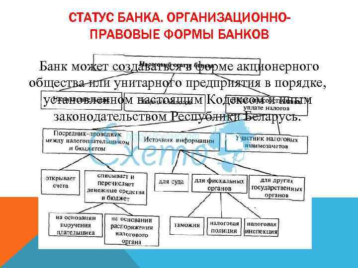 СТАТУС БАНКА. ОРГАНИЗАЦИОННОПРАВОВЫЕ ФОРМЫ БАНКОВ Банк может создаваться в форме акционерного общества или унитарного