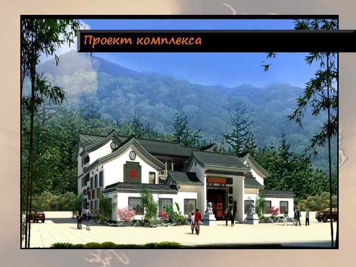 Проект комплекса 