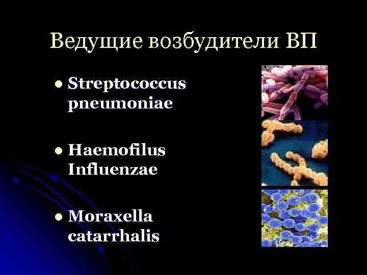 Ведущие возбудители ВП l Streptococcus pneumoniae l Haemofilus Influenzae l Moraxella catarrhalis 