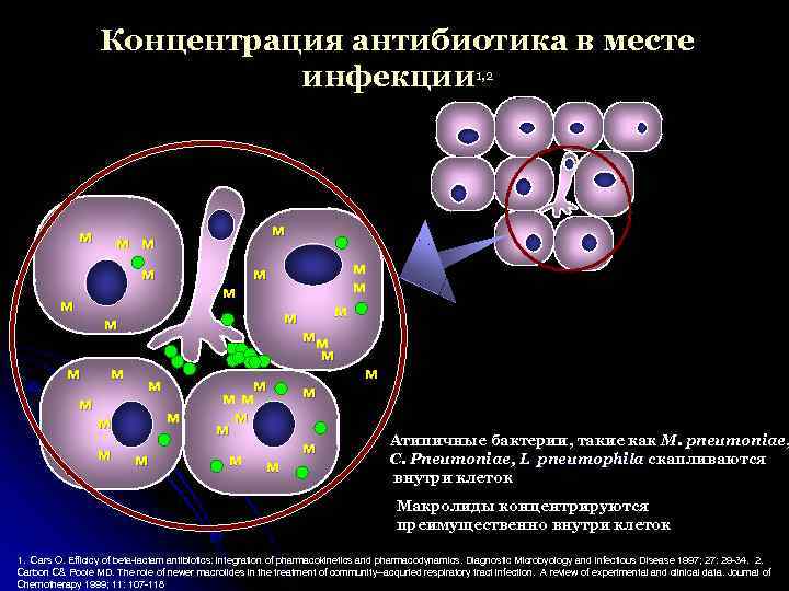 Концентрация антибиотика в месте инфекции 1, 2 м м м м м мм м