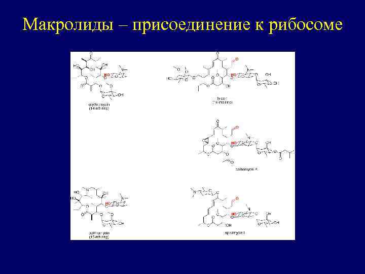 Макролиды – присоединение к рибосоме 