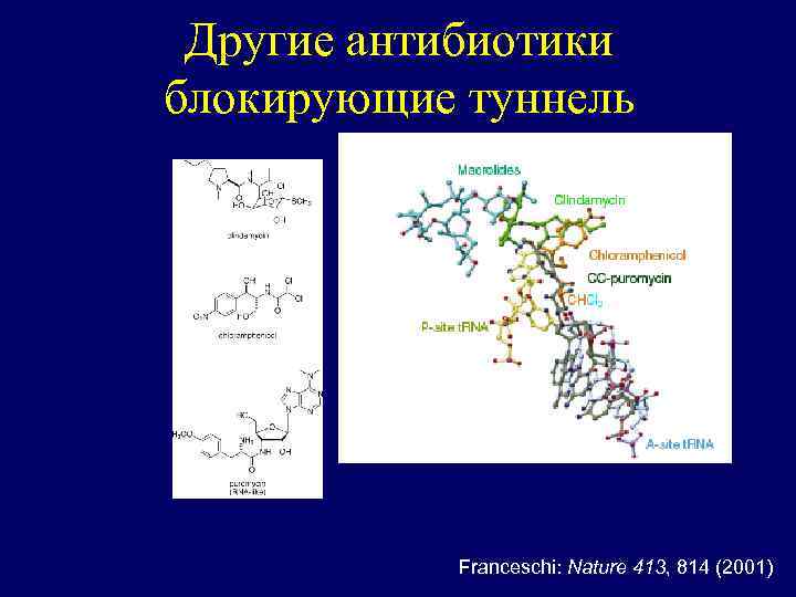 Другие антибиотики блокирующие туннель Franceschi: Nature 413, 814 (2001) 