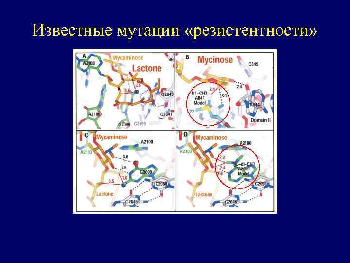 Известные мутации «резистентности» 