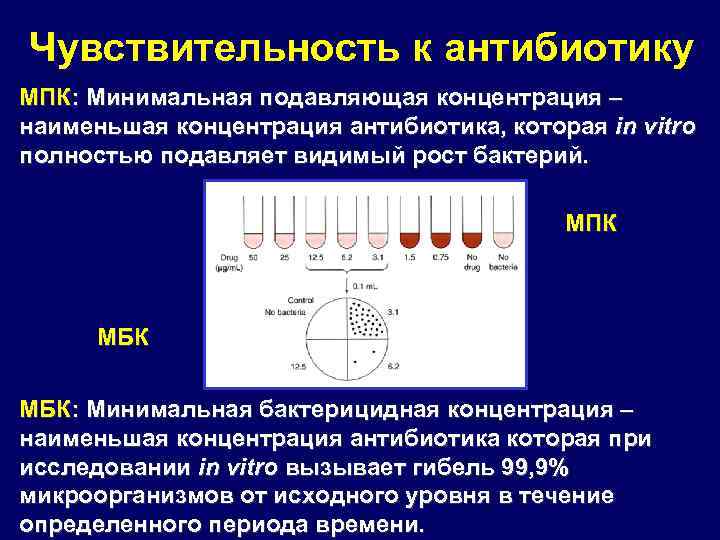 Где наблюдается наименьшая концентрация живых организмов