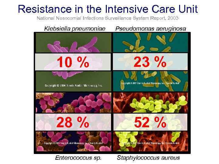 Resistance in the Intensive Care Unit National Nosocomial Infections Surveillance System Report, 2003 Klebsiella