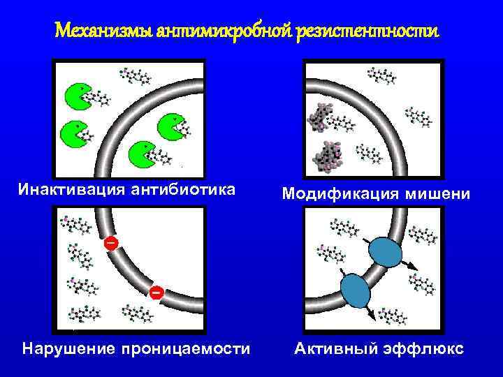 Механизмы антимикробной резистентности Инактивация антибиотика Нарушение проницаемости Модификация мишени Активный эффлюкс 