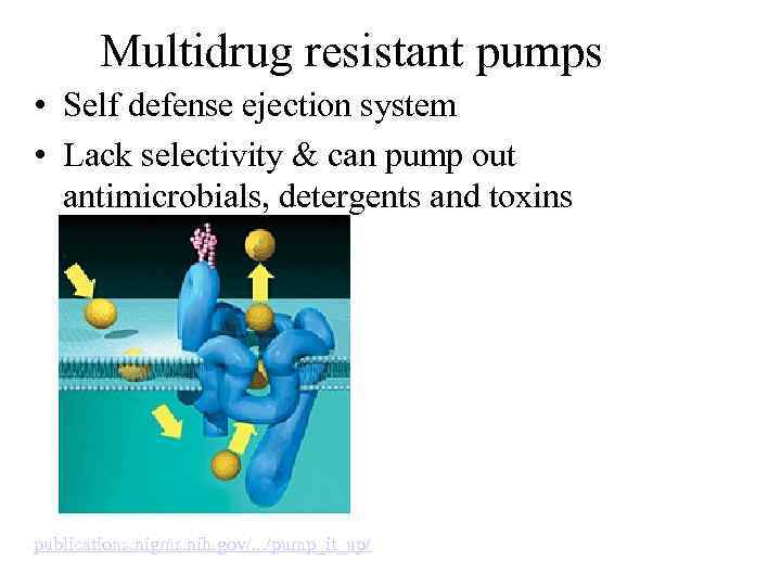 Multidrug resistant pumps • Self defense ejection system • Lack selectivity & can pump