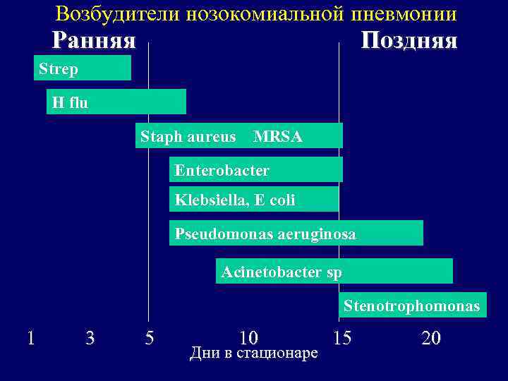 Возбудители нозокомиальной пневмонии Ранняя Поздняя Strep H flu Staph aureus MRSA Enterobacter Klebsiella, E