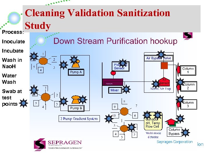 Cleaning Validation Sanitization Study Process: Inoculate Incubate Wash in Nao. H Water Wash Swab