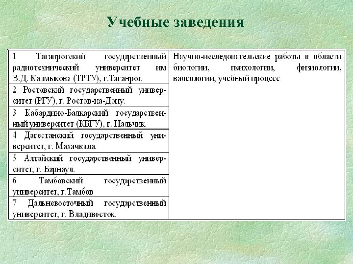Учебные заведения 